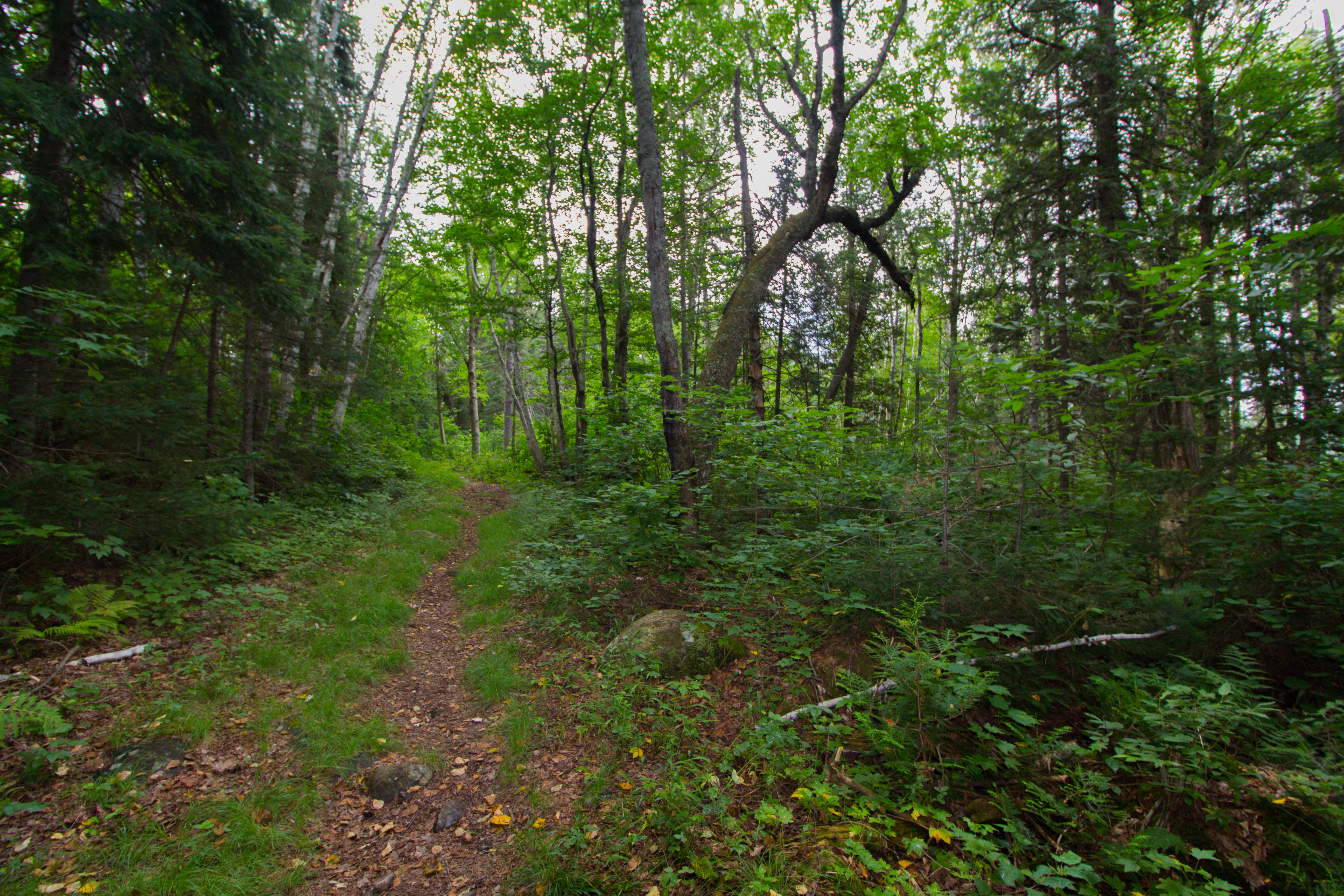 Rain Lake to McCraney Lake